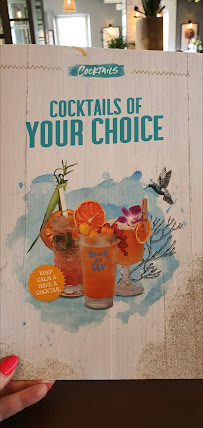 Restaurant Mauritius Karlsruhe à Karlsruhe (le menu)