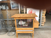 League City Feed & Pet Supply - Photo 3 - Car repair in League City, TX, League City