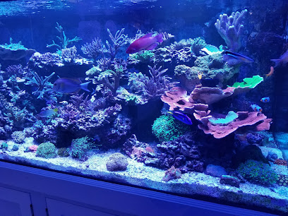 Love The Reef