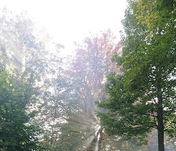 Schniewindscher Park photo