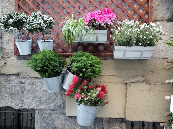 Imagen de Floristería Agarimo (5 de 14)