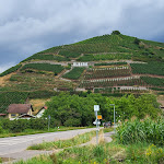 Photo n°7 de l'avis de Alice.a fait le 22/08/2023 à 10:06 sur le  Château de Staufenberg à Durbach