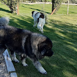 Photo n°11 de l'avis de Marco.u fait le 26/04/2022 à 17:45 sur le  Casale Poggio Nebbia - Agriturismo à Tarquinia