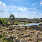 Photo n°9 de l'avis de Beni. fait le 08/05/2024 à 16:35 sur le  Café-Restaurant Torfwerk à Wanna