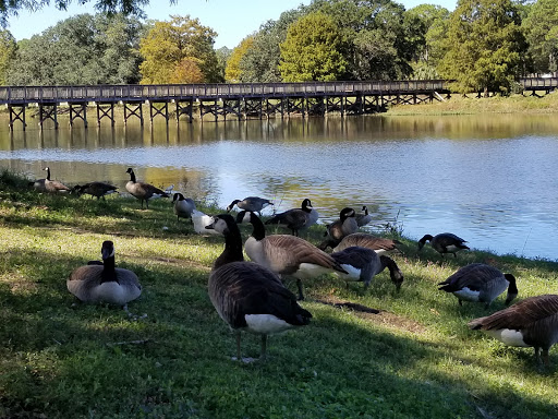 Park «Municipal (Langan) Park», reviews and photos, 4901 Zeigler Blvd, Mobile, AL 36608, USA