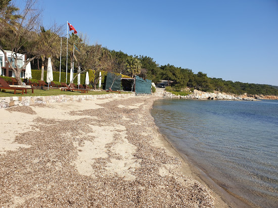 Ortunc Bay