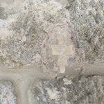 Photo n°33 de l'avis de Valentina.a fait le 28/08/2021 à 07:23 sur le  Convento San Bartolomeo à Piancastagnaio