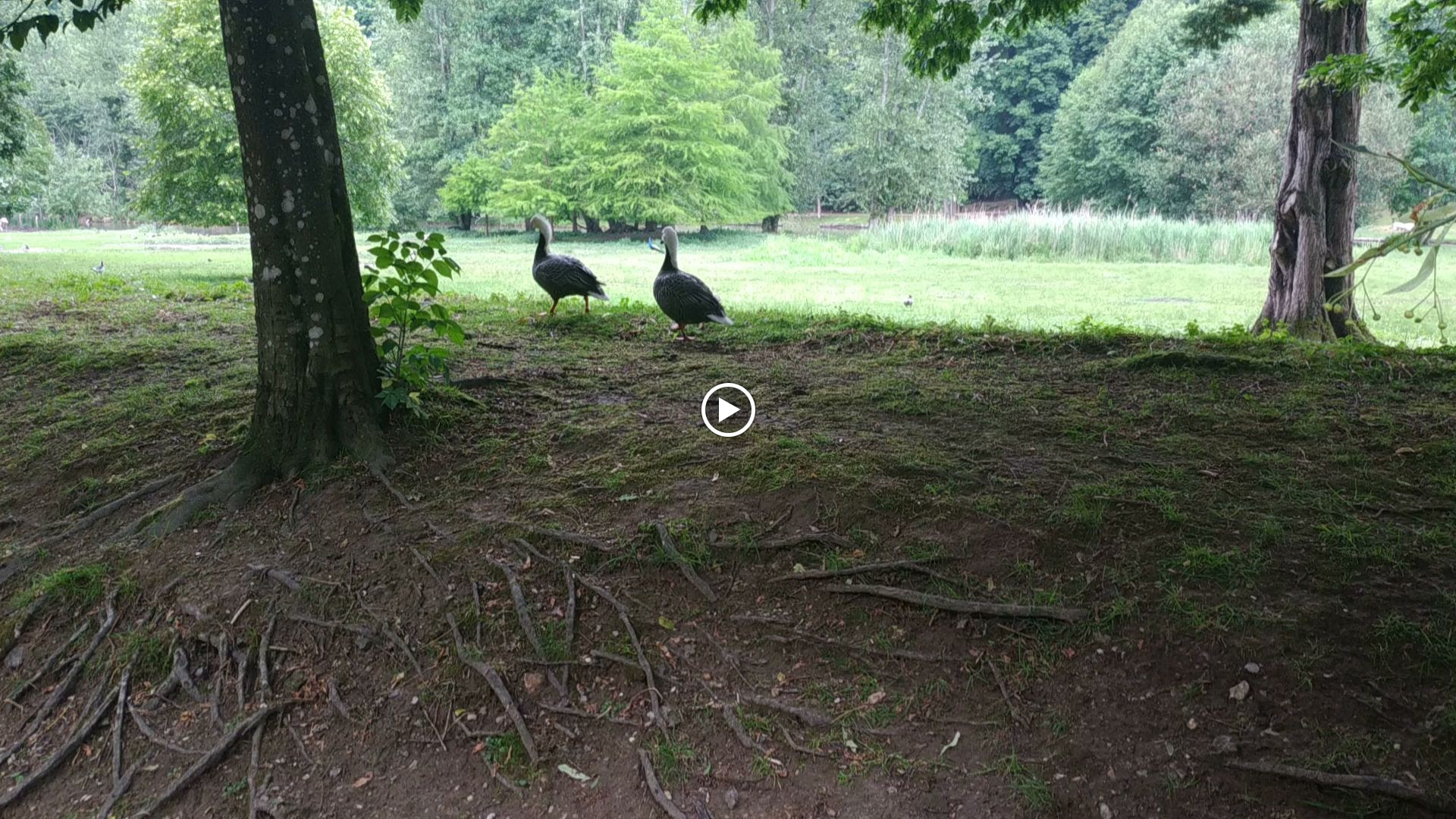 Photo n° 13 de l'avis de marie.l fait le 13/06/2023 à 20:22