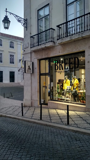 Breed - Urban Concept Store