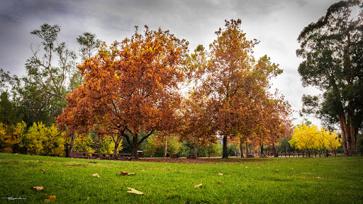 Vasona Lake County Park image