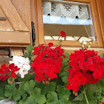 Photo n°3 de l'avis de Manuela.a fait le 25/07/2022 à 19:41 sur le  Agritur Malga Lozen à Mezzano