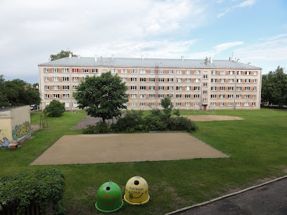 Placis, Dienesta viesnīca