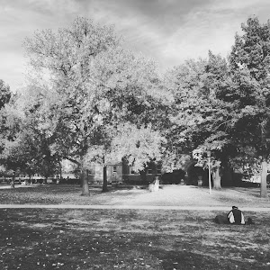 Main Quad - photo 26