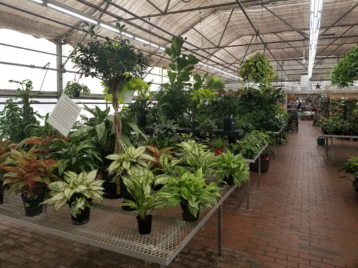Garden Center «Sixteen Acres Garden Center», reviews and photos, 1359 Wilbraham Rd, Springfield, MA 01119, USA