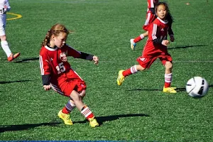 Clarkstown Soccer Club image