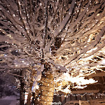 Photo n°1 de l'avis de Sanja.a fait le 10/02/2018 à 20:19 sur le  Hotel Columbia à Cortina d'Ampezzo