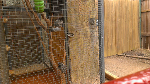 Zoo «Animal World & Snake Farm Zoo», reviews and photos, 5640 Interstate 35 Frontage Rd, New Braunfels, TX 78132, USA