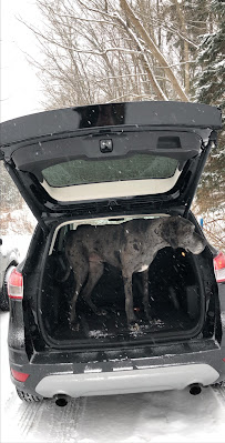 Towne Ford - Photo 9 - Car repair in Orchard Park, NY, Buffalo