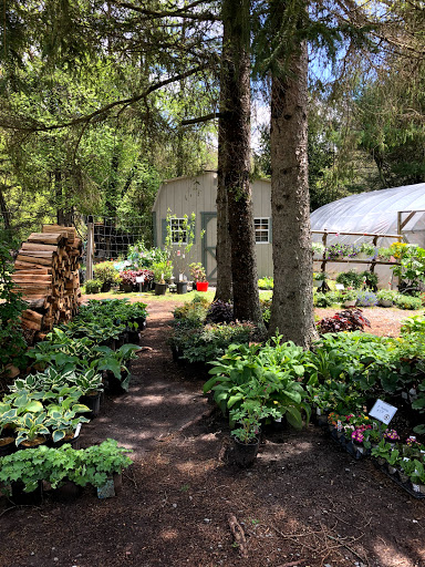Garden Center «Stonewall Garden Center», reviews and photos, 4675 PA-447, Canadensis, PA 18325, USA