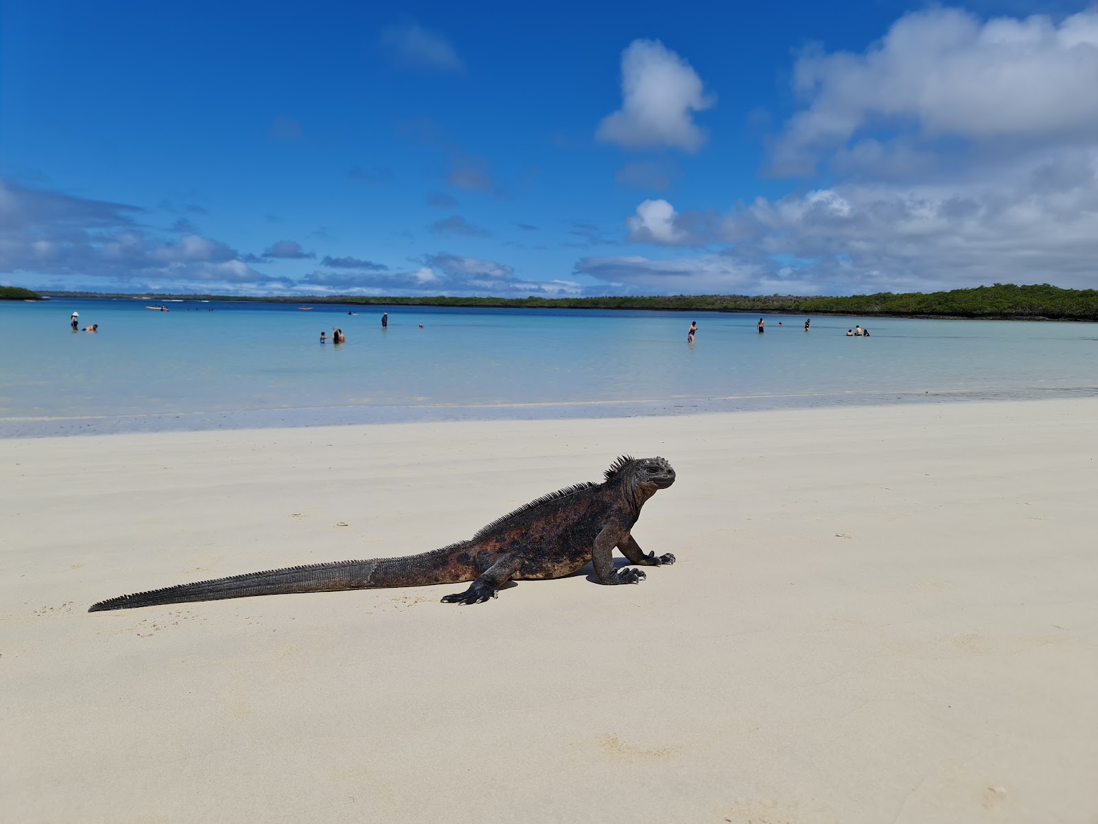 Foto di Tortuga Laguna Beach con molto pulita livello di pulizia