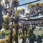 Photo n°2 de l'avis de Anna.s fait le 18/04/2023 à 08:11 sur le  Ristorante alla Bassona à Verona