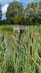 Photo n°6 de Plan d'eau de Lesquin à Lesquin ()