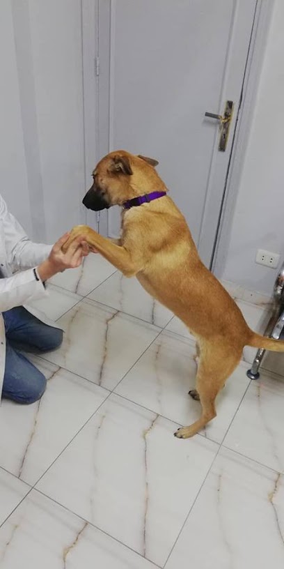 Pet's Story Clinic