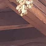 Photo n° 6 de l'avis de BJJ.A fait le 08/08/2021 à 05:18 pour Vieux Four à Châtel