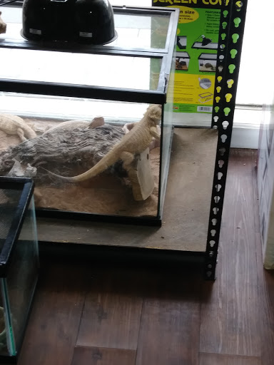 Reptile Store «MOC Reptiles», reviews and photos, 643 NE 125th St, North Miami, FL 33161, USA