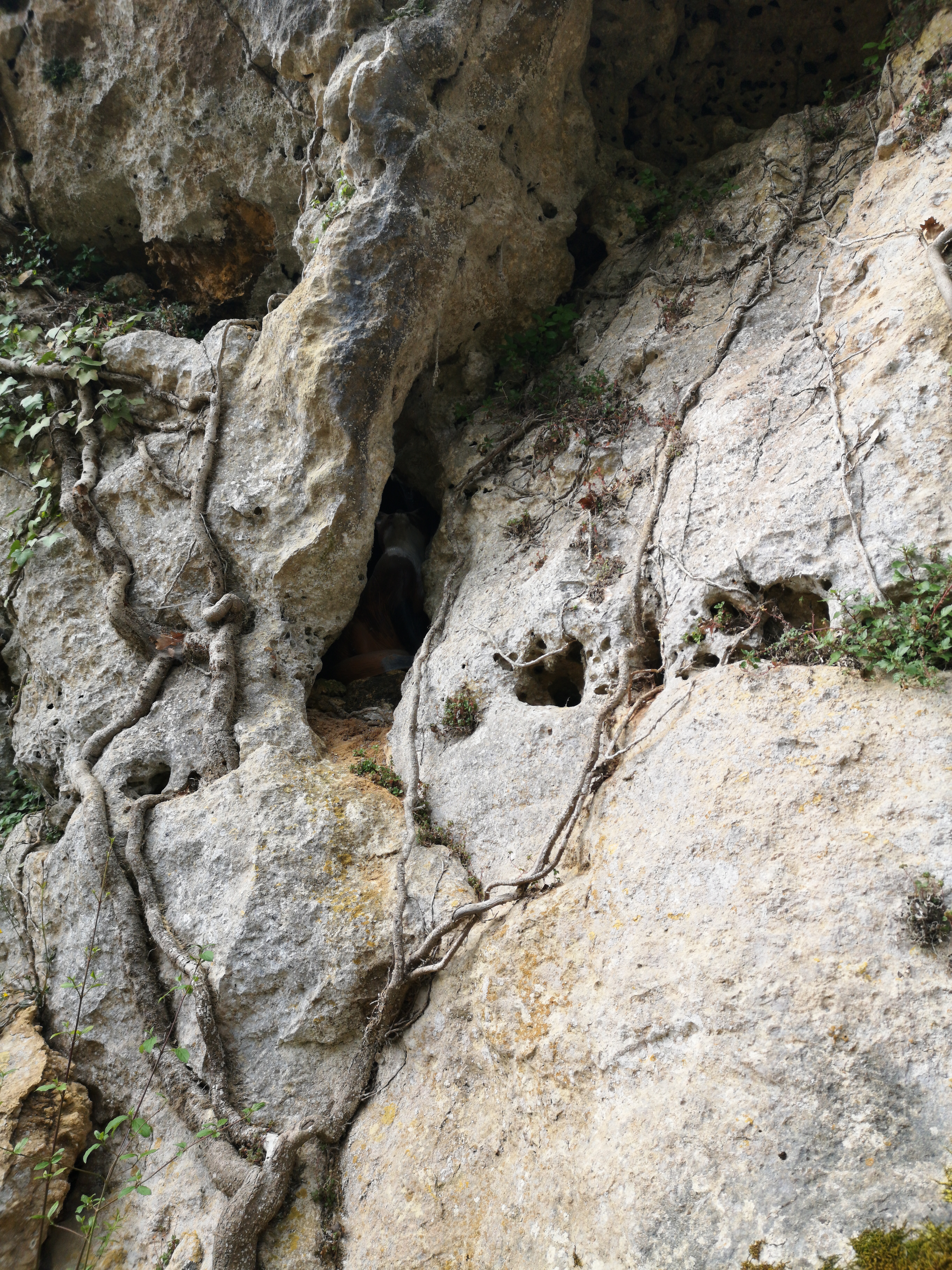 Photo n° 18 de l'avis de HAZMATIQUETTV. fait le 10/04/2019 à 19:47