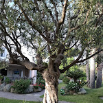 Photo n°1 de l'avis de Giordano.a fait le 27/07/2021 à 11:24 sur le  Hotel Ideal à Forio