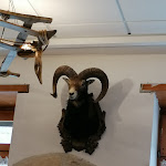 Photo n°3 de l'avis de Farcas. fait le 11/10/2020 à 17:41 sur le  Il Caminetto à Usseglio