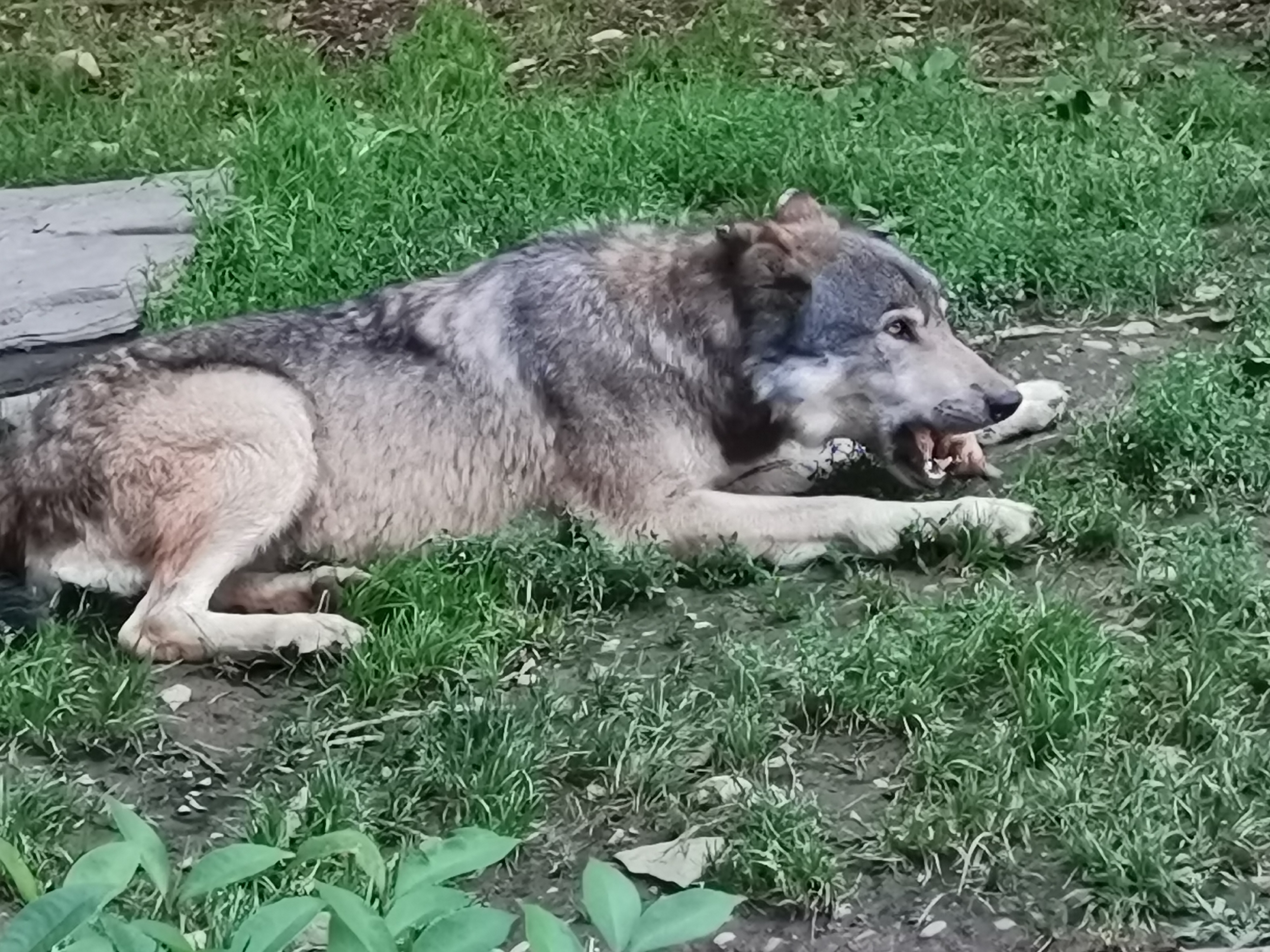 Photo n° 4 de l'avis de L. fait le 26/08/2022 à 17:05