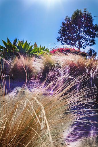 Shoe Store «WSS», reviews and photos, 8830 Garfield Ave, South Gate, CA 90280, USA