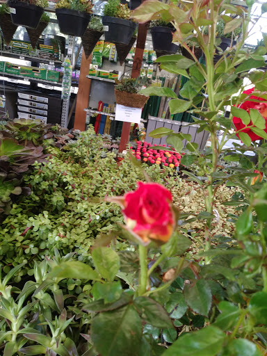 Home Improvement Store «The Home Depot», reviews and photos, 860 E Dunne Ave, Morgan Hill, CA 95037, USA