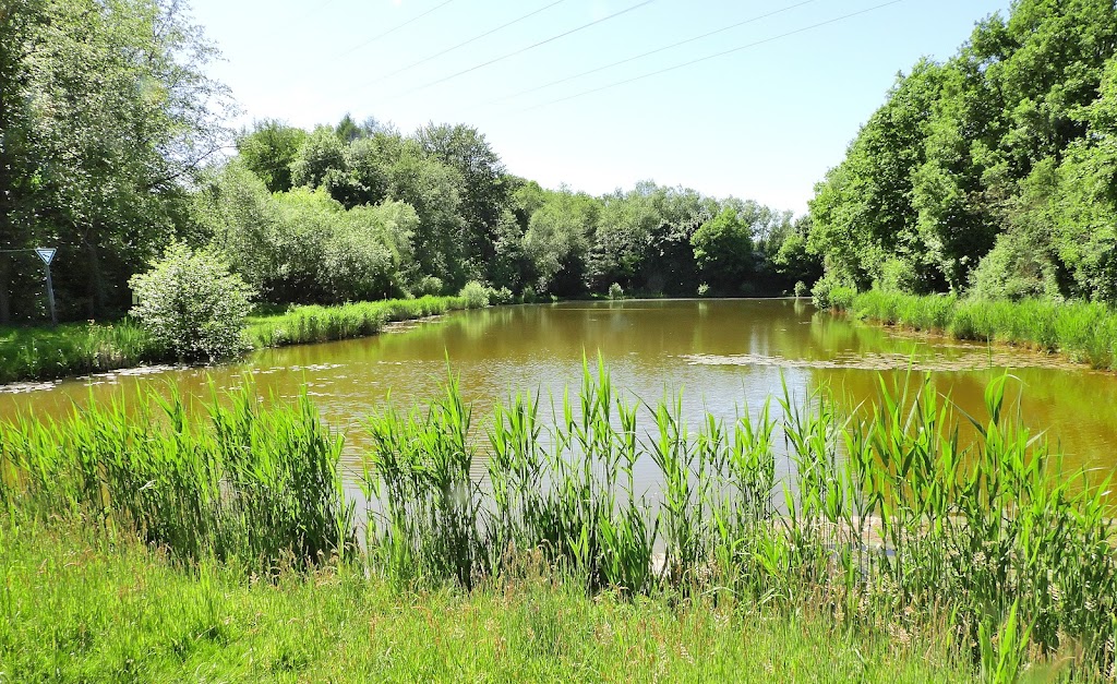 Fischerhütte am Russenweg (Angelsportfreunde Riegelsberg e.V.)