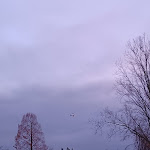 Photo n°2 de l'avis de Cornelia.e fait le 09/02/2024 à 19:30 sur le  Hotel Robben à Bremen