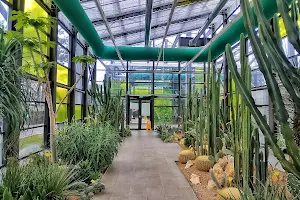 Drumul Taberei Park's Greenhouses image
