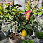 Photo n° 4 de l'avis de STRASBOURG.o fait le 27/03/2021 à 11:14 pour Tropix à Strasbourg