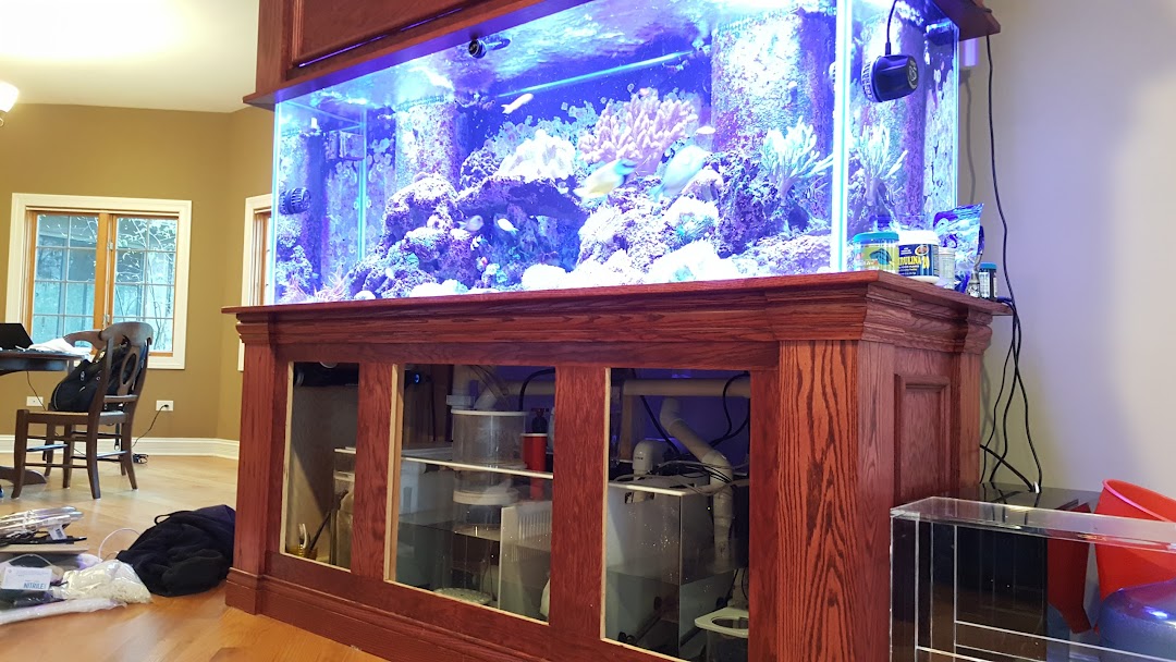 Sho Tank Aquariums