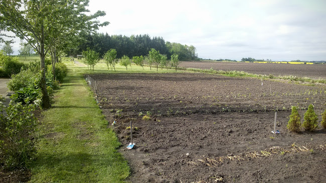 Opinii despre Kildehøj în Herning - Plejehjem