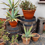 Photo n°13 de l'avis de Kleine.u fait le 11/05/2022 à 14:08 sur le  Landhaus Heinrichshof à Jüterbog