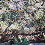 Photo n°2 de l'avis de Mauro.u fait le 18/09/2023 à 04:16 sur le  Gropparello Castle à Gropparello