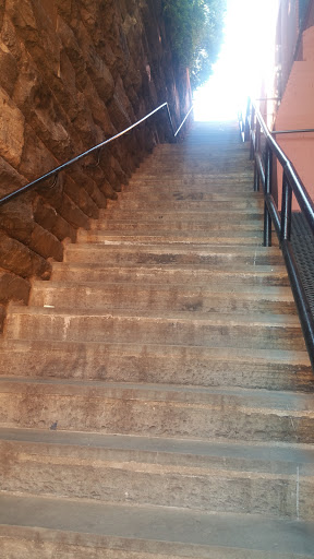 Tourist Attraction «