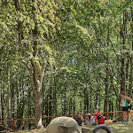 Photo n°1 de l'avis de Annamaria.r fait le 21/08/2020 à 14:31 sur le  Da Giocondo à Pratomagno