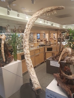 Alaska Fine Art - photo 35