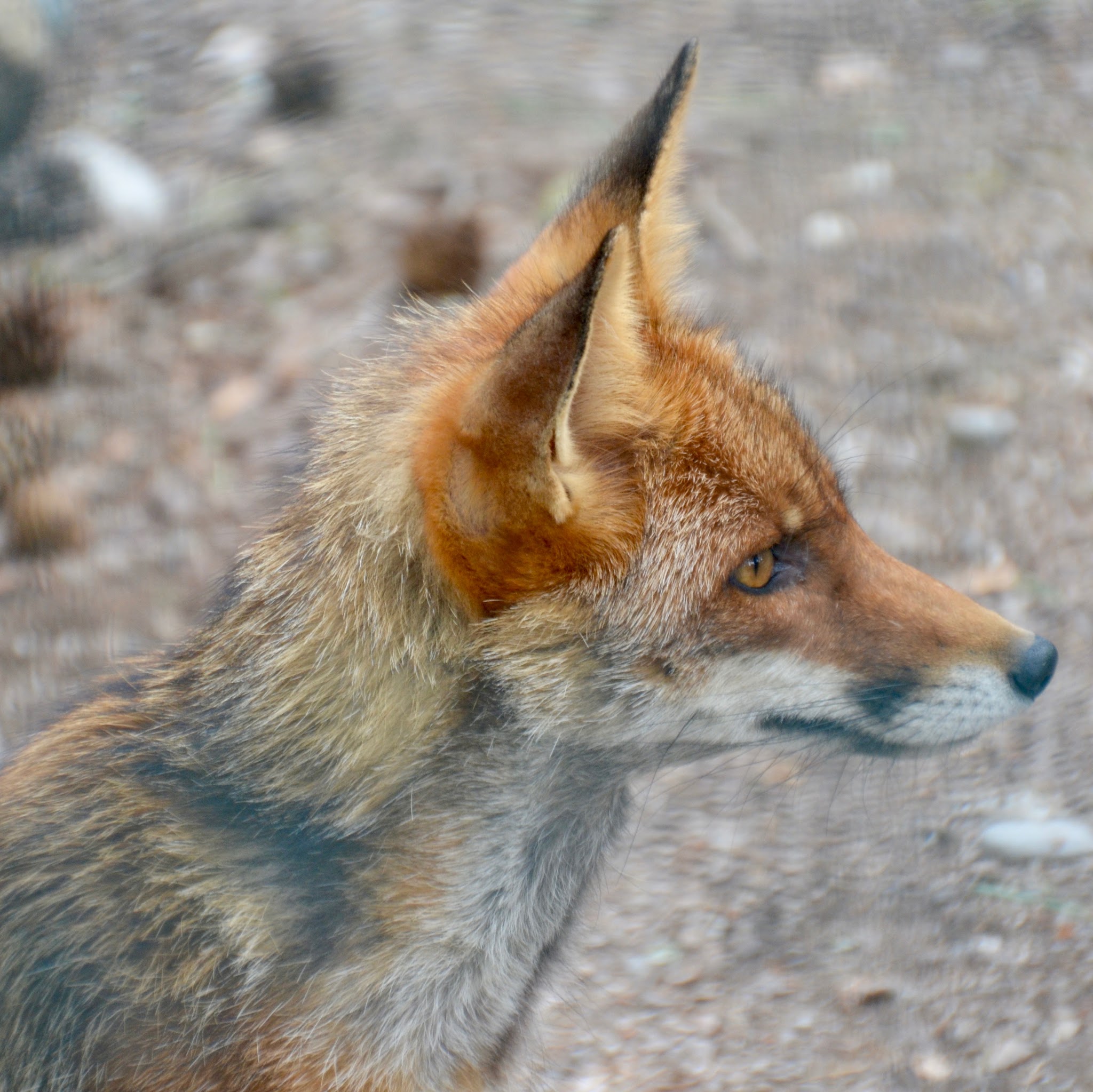 Photo n° 8 de l'avis de Sébastien.i fait le 24/06/2017 à 20:20