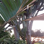 Photo n°9 de l'avis de Pieretta.a fait le 22/05/2022 à 06:12 sur le  Assud Mozia Trattoria Pizzeria Km0 à Marsala