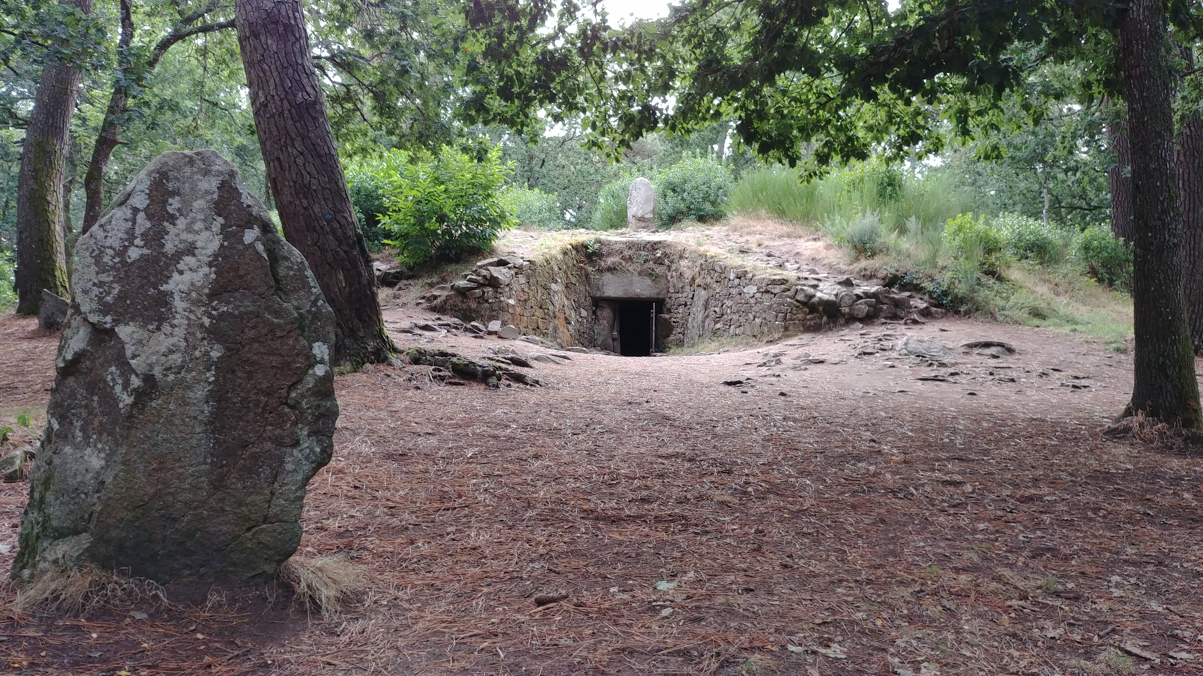 Photo n° 2 de l'avis de Philippe.u fait le 30/07/2018 à 18:13