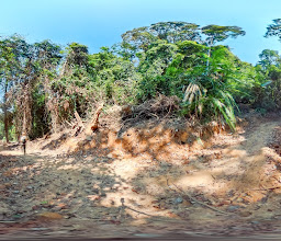 Tubkeak National Park, Krabi District, Thailand photo